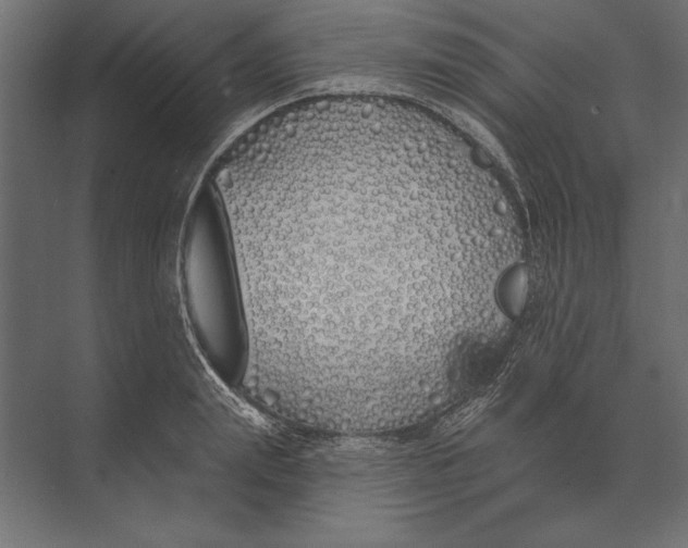 X0000073440847200608181211