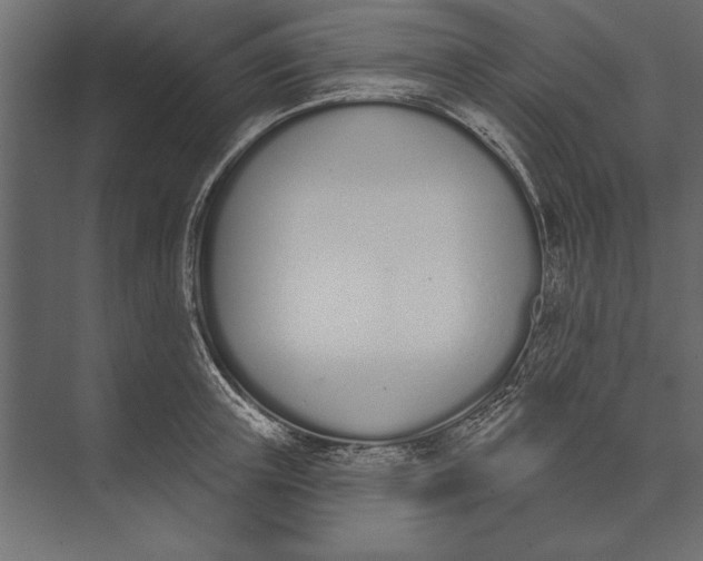 X0000073440851200608181211