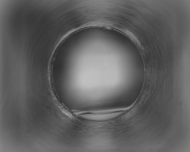 X0000073440854200608181211