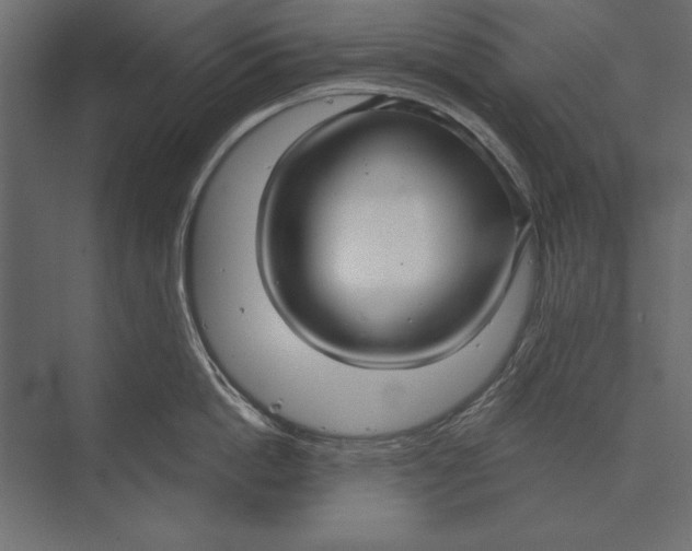 X0000073440862200608181211