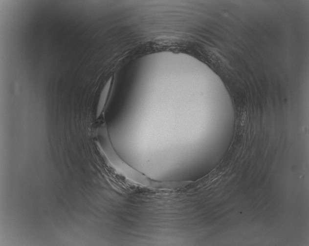 X0000073440868200608181210