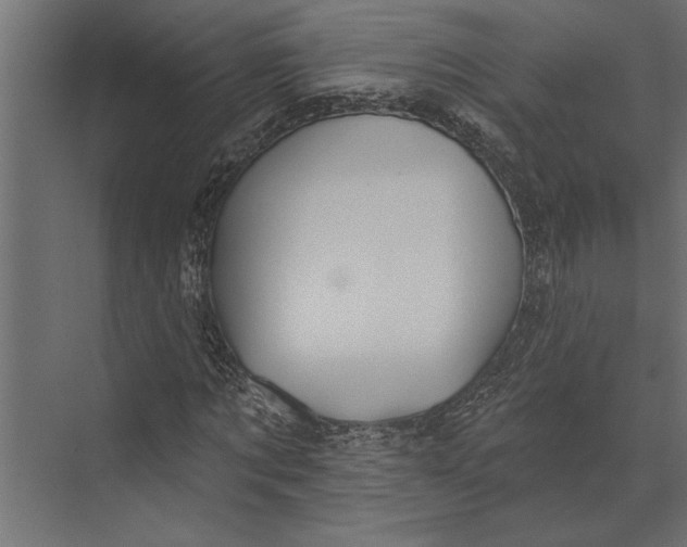 X0000073440869200608181210