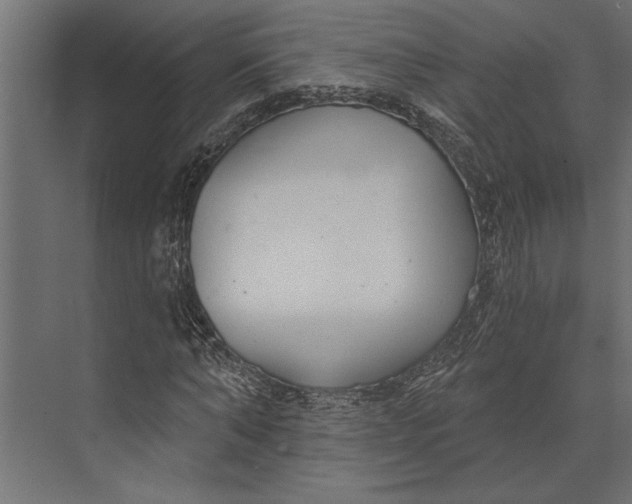 X0000073440870200608181210