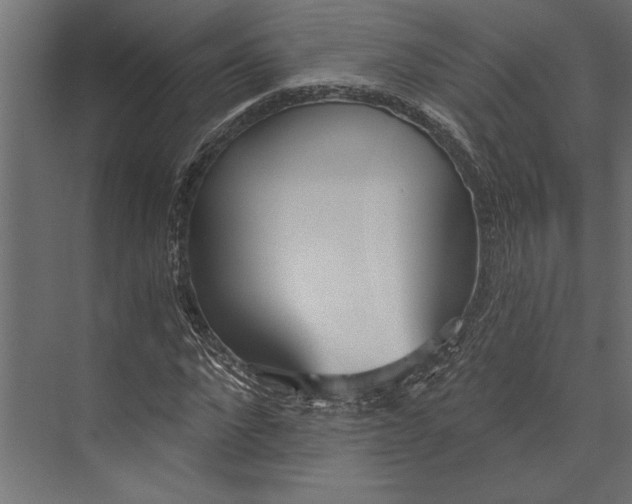 X0000073440872200608181210