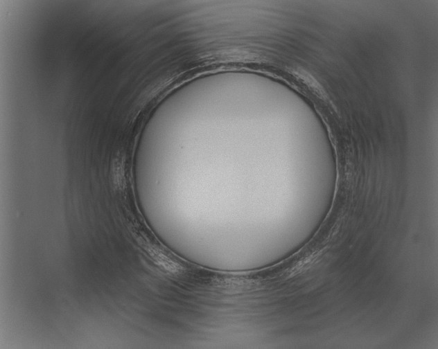 X0000073440873200608181210