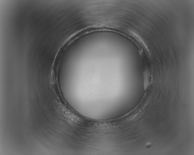 X0000073440876200608181210