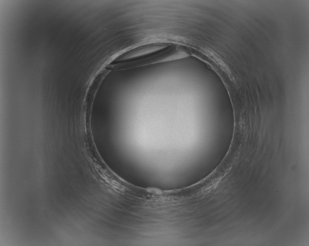 X0000073440877200608181210