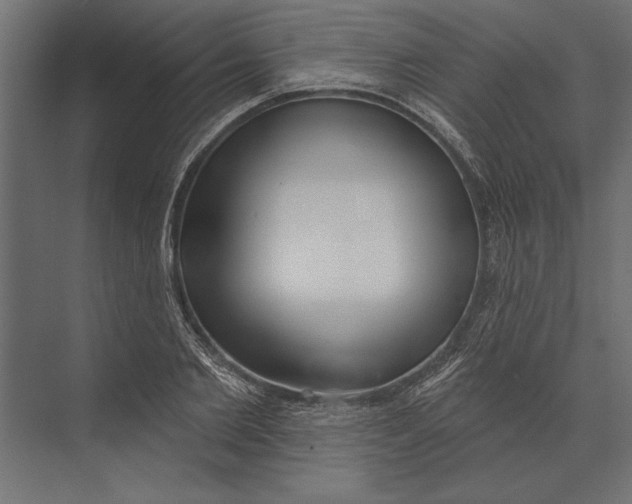 X0000073440885200608181210