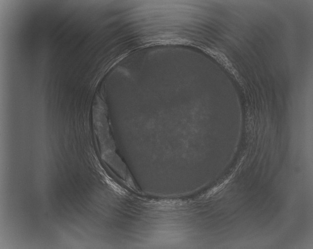 X0000073440889200608181210