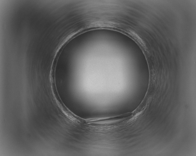 X0000073440893200608181210