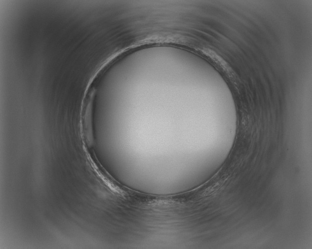 X0000073440894200608181210