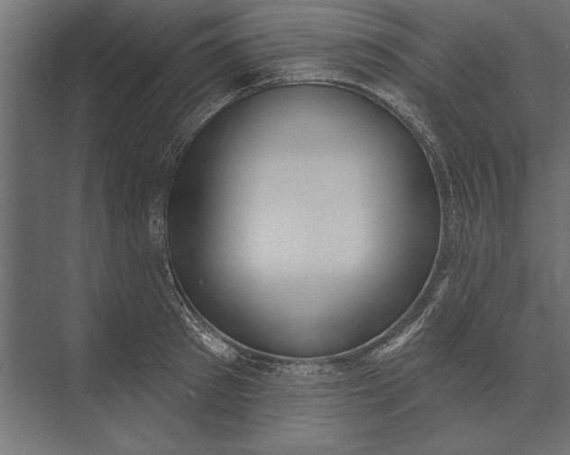 X0000073440897200608181210