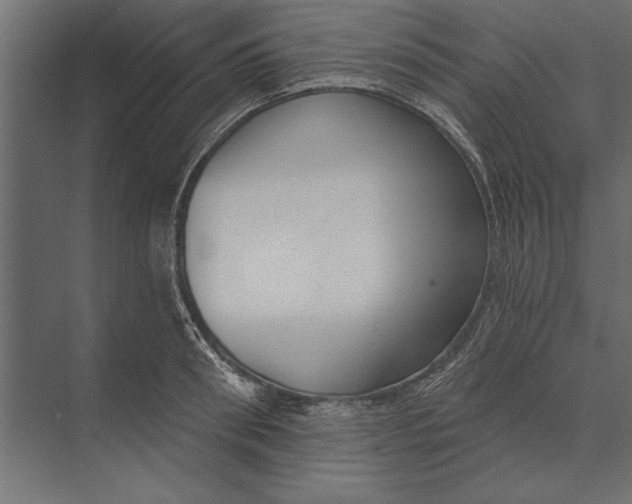 X0000073440898200608181210
