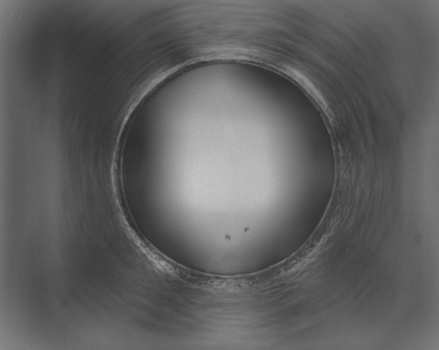 X0000073440901200608181209