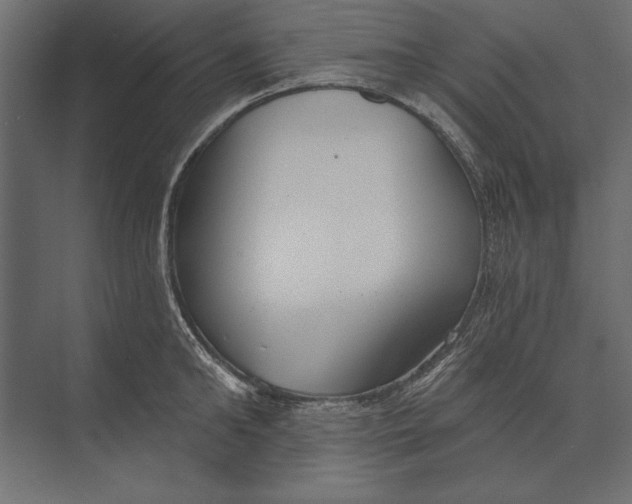X0000073440902200608181209