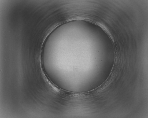 X0000073440906200608181209