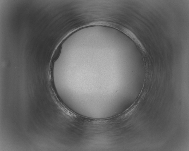 X0000073440908200608181209