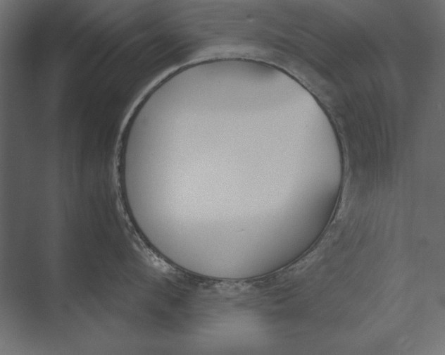 X0000073440912200608181209