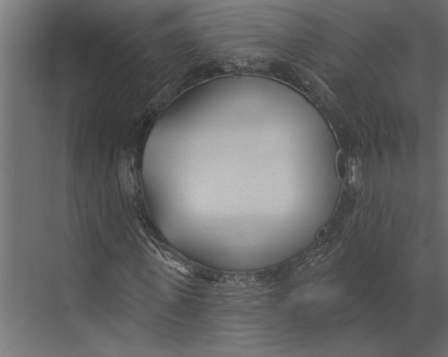 X0000073440915200608181209