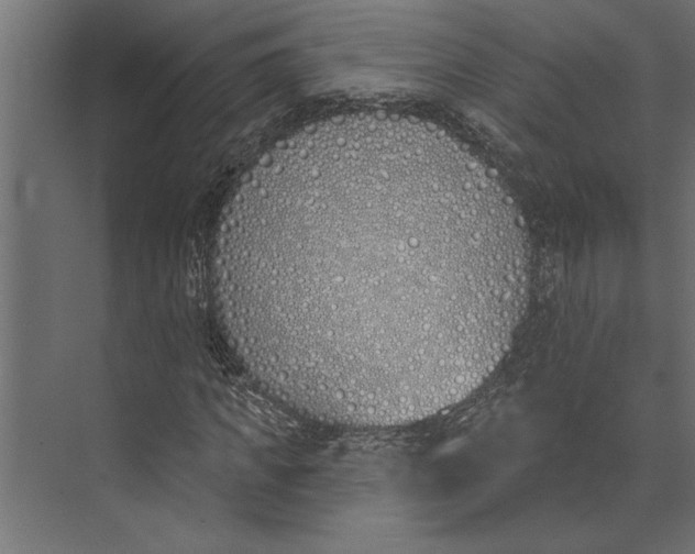 X0000073440917200608181209
