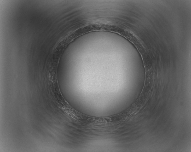X0000073440919200608181209