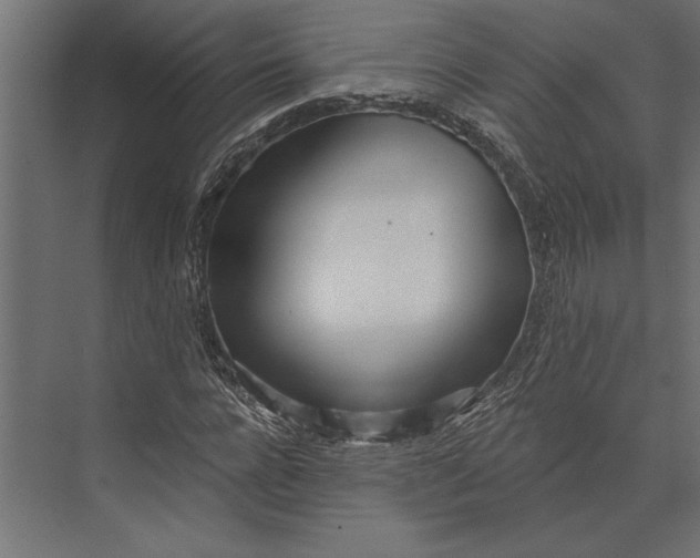 X0000073440920200608181209