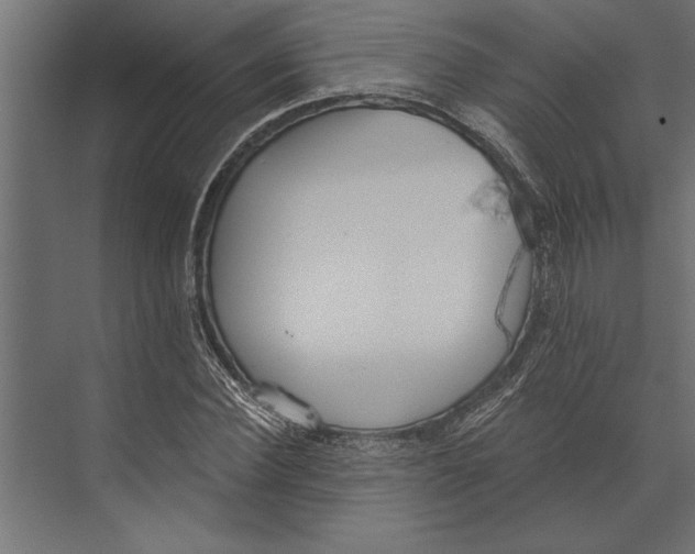 X0000073440924200608181209
