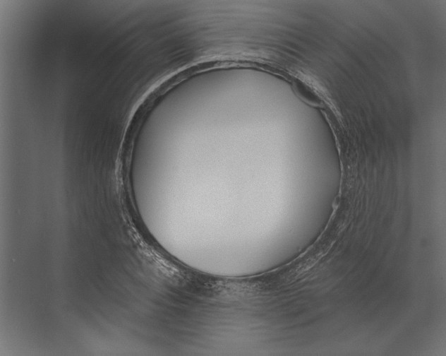 X0000073440928200608181209