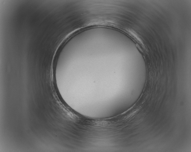 X0000073440940200608181209