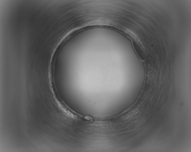 X0000073440942200608181209