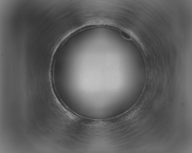 X0000073440943200608181209