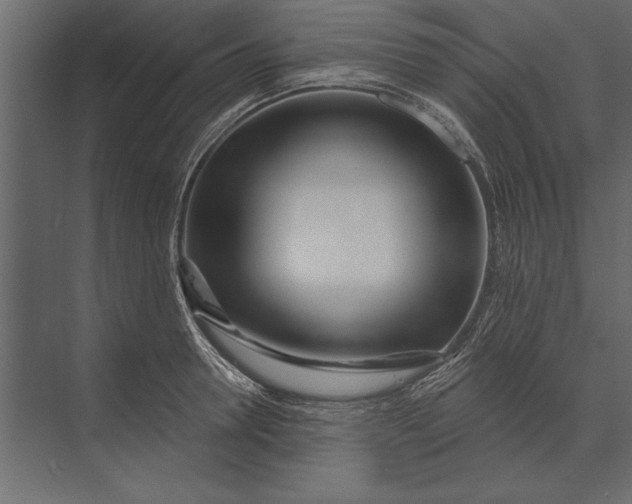X0000073440946200608181209