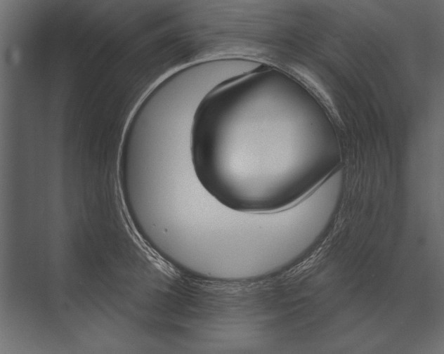 X0000073440948200608181209