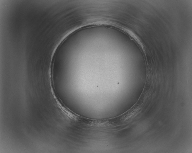 X0000073440951200608181209