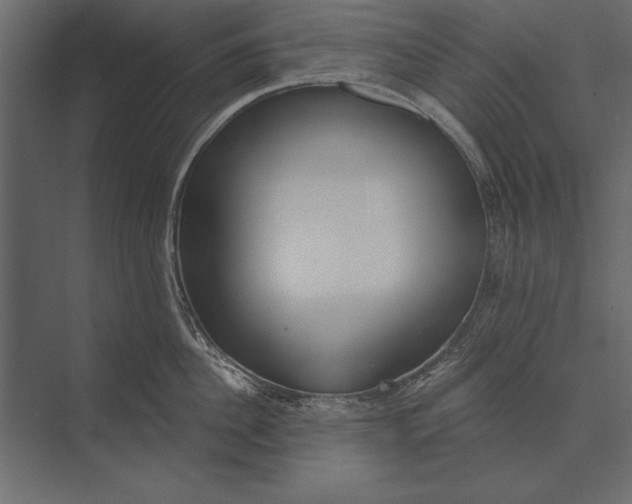 X0000073440956200608181209