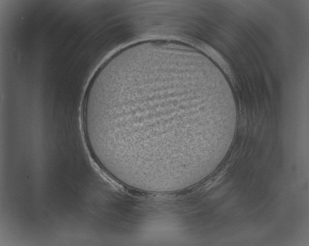 X0000073440958200608181209