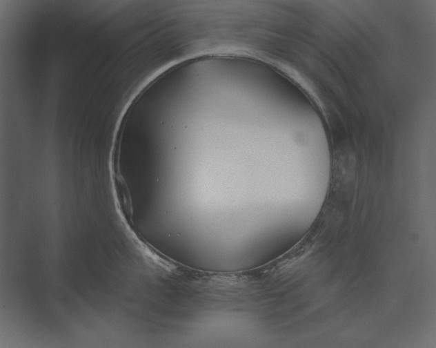 X0000073440959200608181209