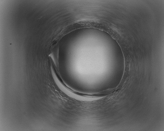 X0000073440965200608181208