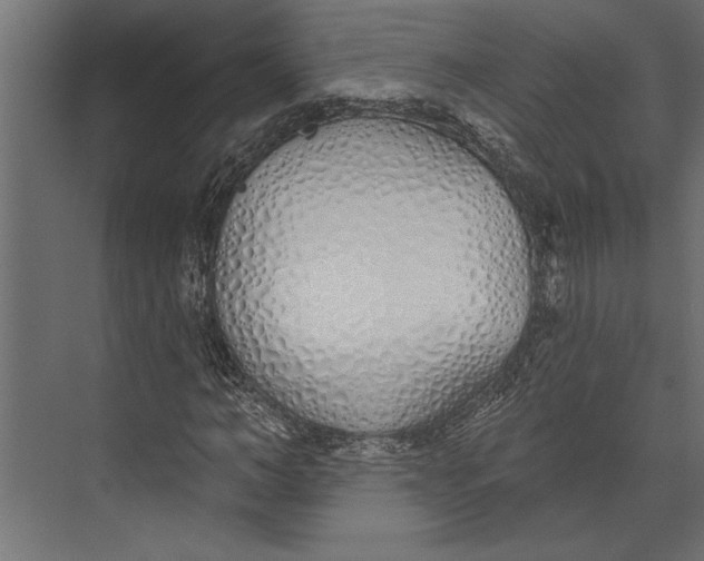 X0000073440966200608181208