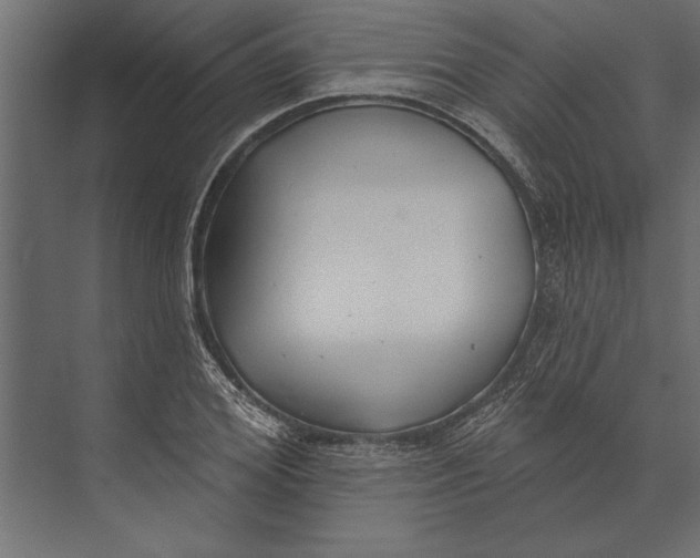 X0000073440980200608181208