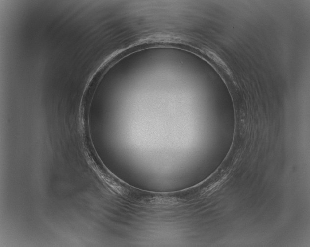 X0000073440981200608181208