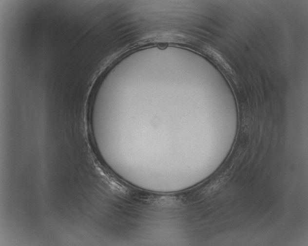 X0000073440986200608181208