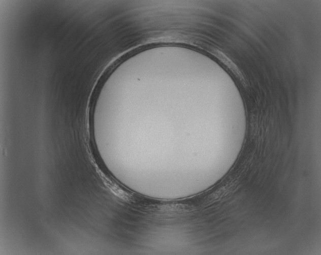 X0000073440988200608181208