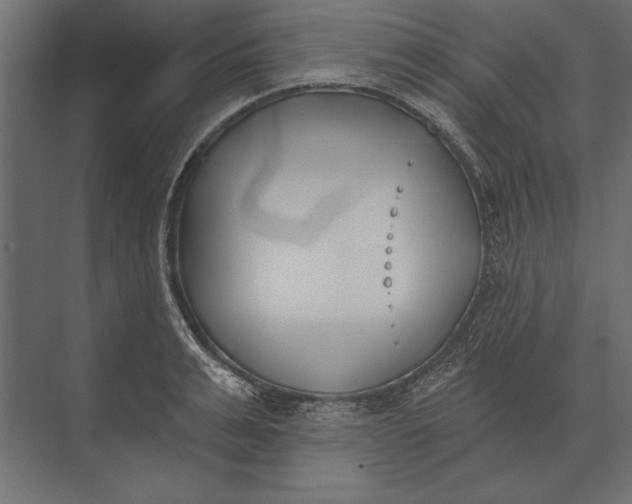 X0000073440991200608181208
