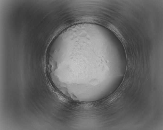 X0000073440994200608181208