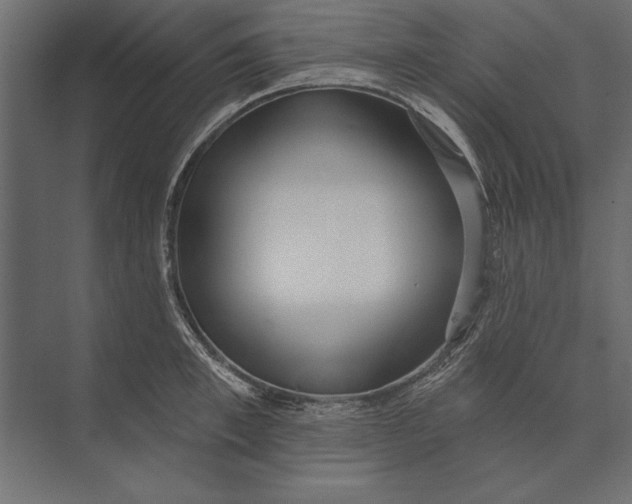X0000073440997200608181208
