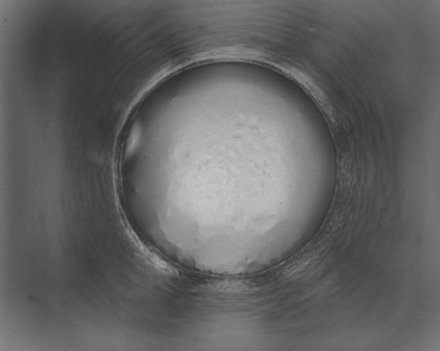 X0000073440998200608181208