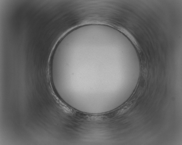 X0000073441004200608181208