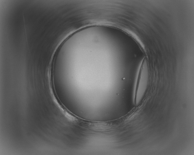 X0000073441007200608181208
