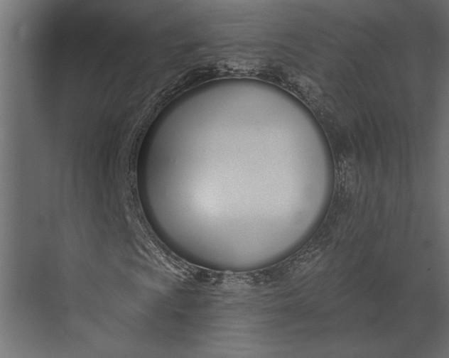 X0000073441009200608181207